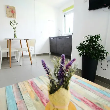 Apartment Petrovic Primosten