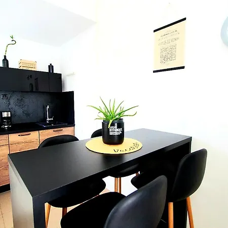 Petrovic Apartment *