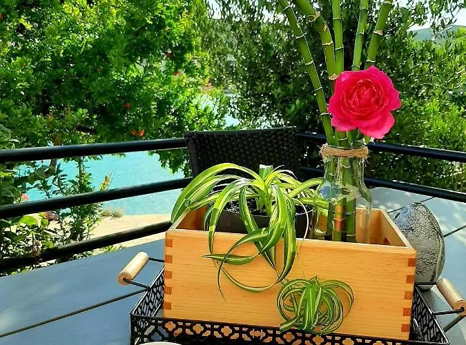 Appartement Petrovic