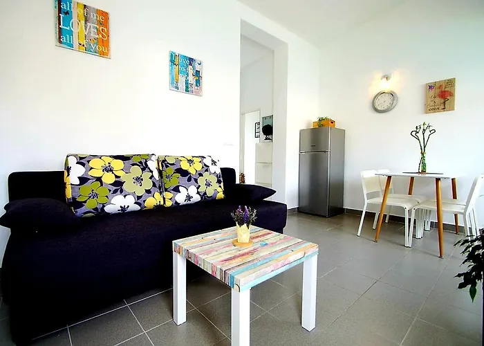 Apartment Petrovic *