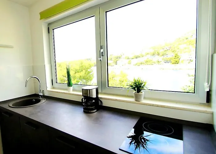 Petrovic Apartamento